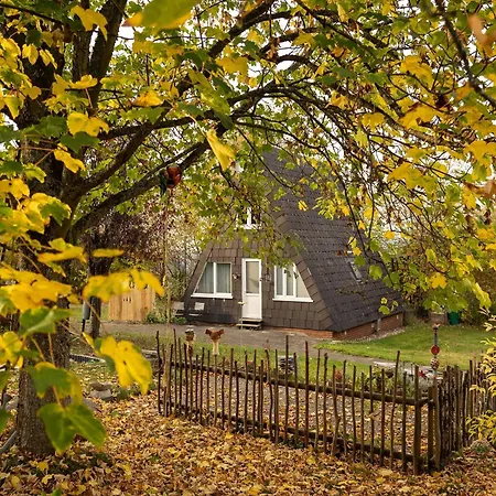 Semesterbostad In Mit Privatem Garten Bestwig