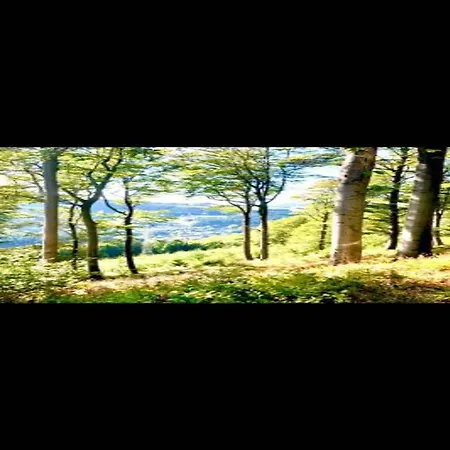 In Mit Privatem Garten * بيستفيغ