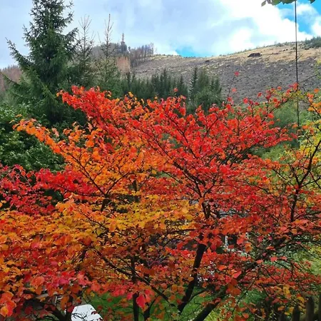 Semesterbostad In Mit Privatem Garten Bestwig