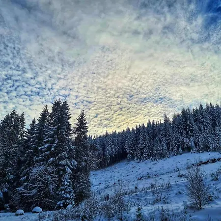 In Mit Privatem Garten Semesterbostad *