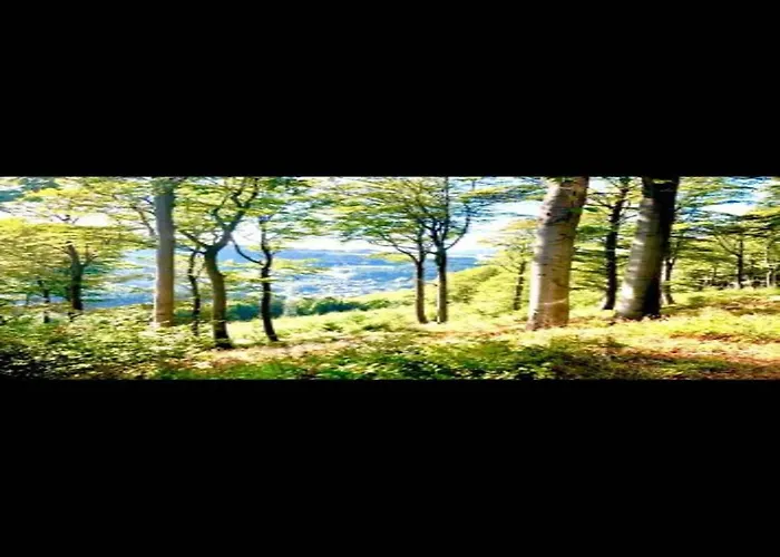 In Mit Privatem Garten * 贝斯特维格