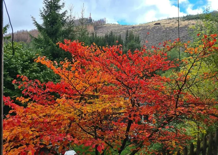 度假居 In Mit Privatem Garten 贝斯特维格