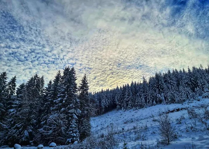 In Mit Privatem Garten 度假居 *