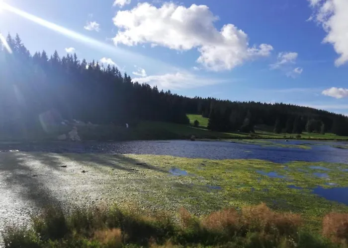 In Mit Privatem Garten * 贝斯特维格